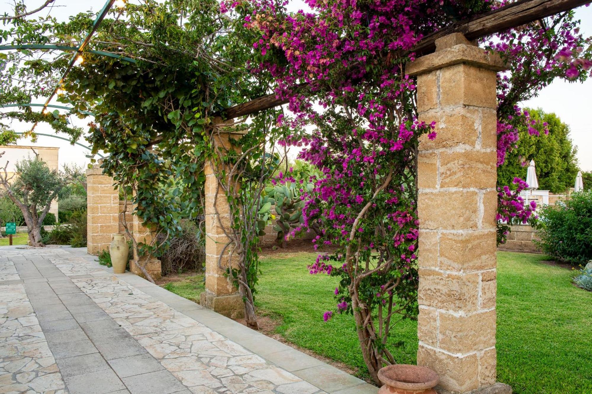 Masseria L'Uliveto Agri Resort 奥特朗托 外观 照片