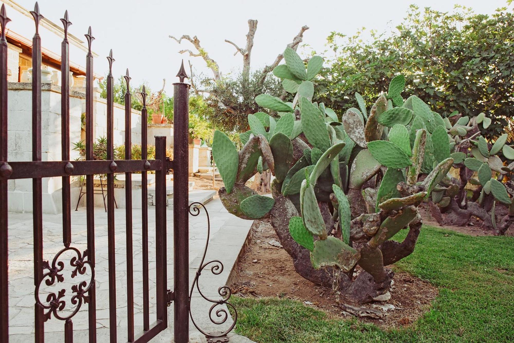 Masseria L'Uliveto Agri Resort 奥特朗托 外观 照片