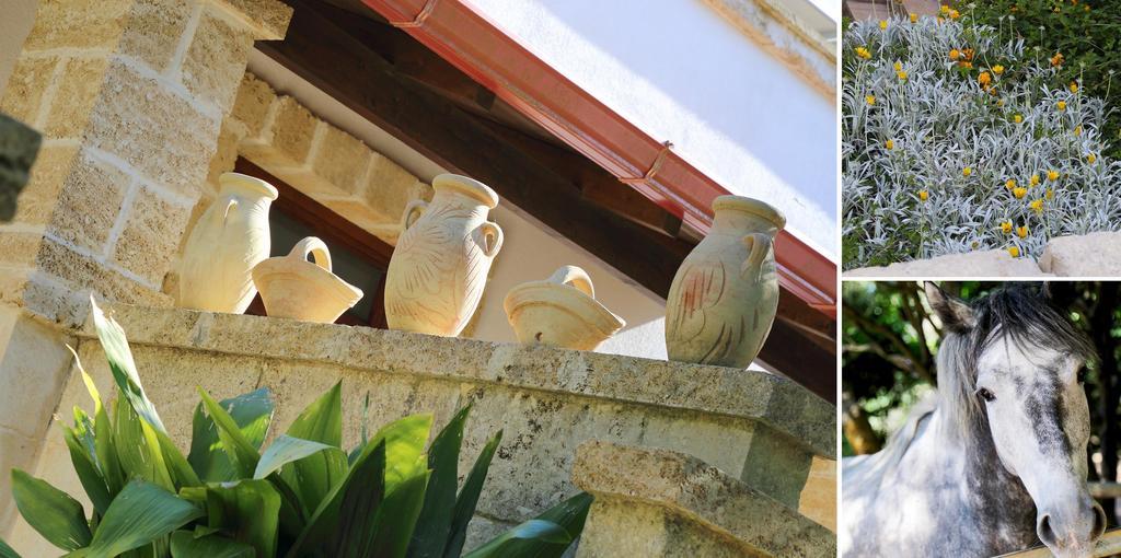 Masseria L'Uliveto Agri Resort 奥特朗托 外观 照片